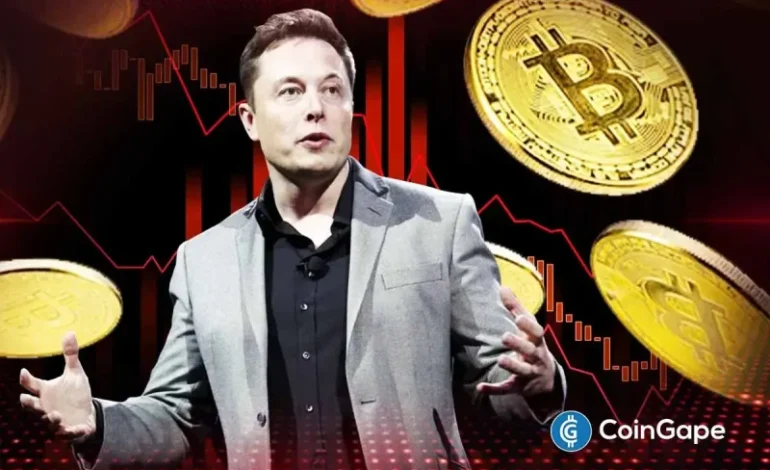  BREAKING: Elon Musk Endorses Bitcoin Again After Years Amid Crypto Bloodbath