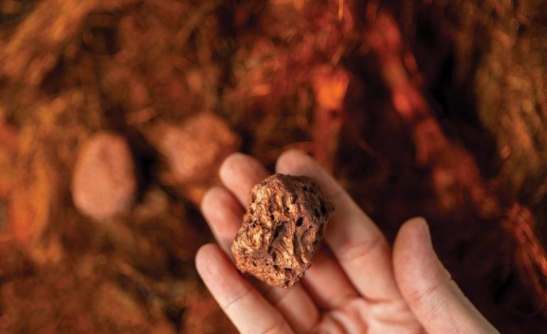  PPC, Lundin Freeze 2026 Processing Fees as Smelters Near Breaking Point