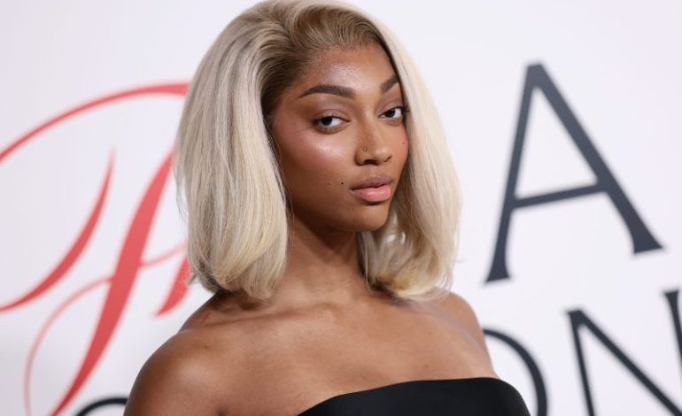  WNBA star Angel Reese lands role in spicy Netflix series